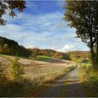 Durchblick auf den Weg ins Tal