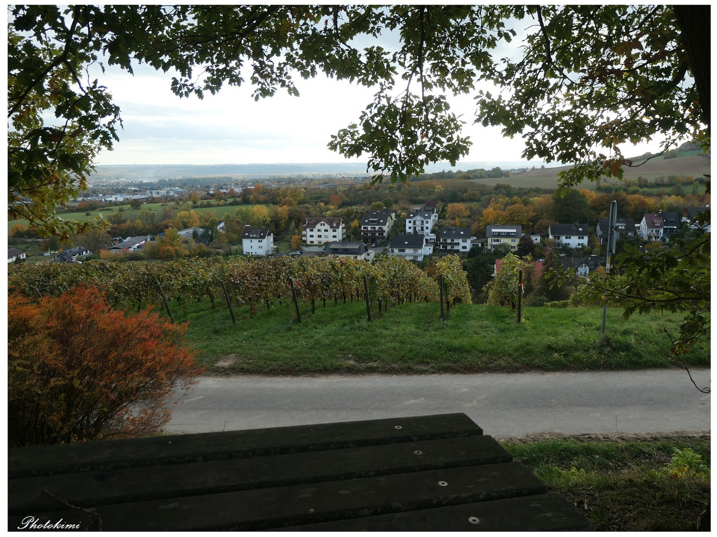 Durchblick auf den Winzerort