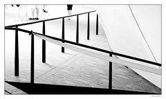 - Durchblick auf die Beine -