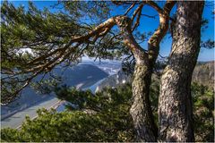 Durchblick auf die Elbe und Wehlen