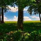 Durchblick auf die Farben des Sommers