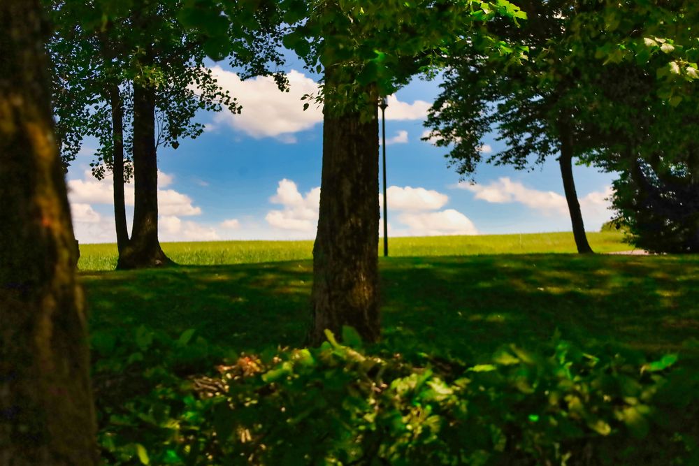 Durchblick auf die Farben des Sommers