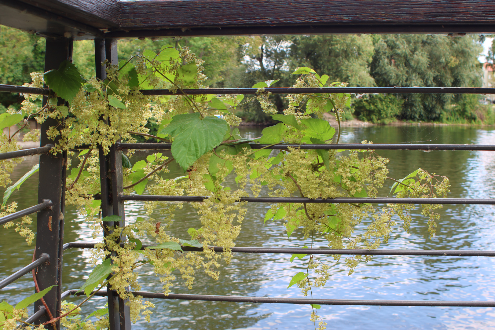 Durchblick auf die Havel