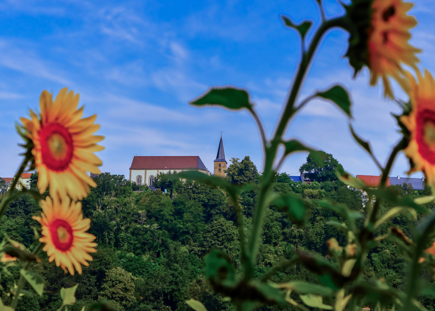 Durchblick auf die Kirche