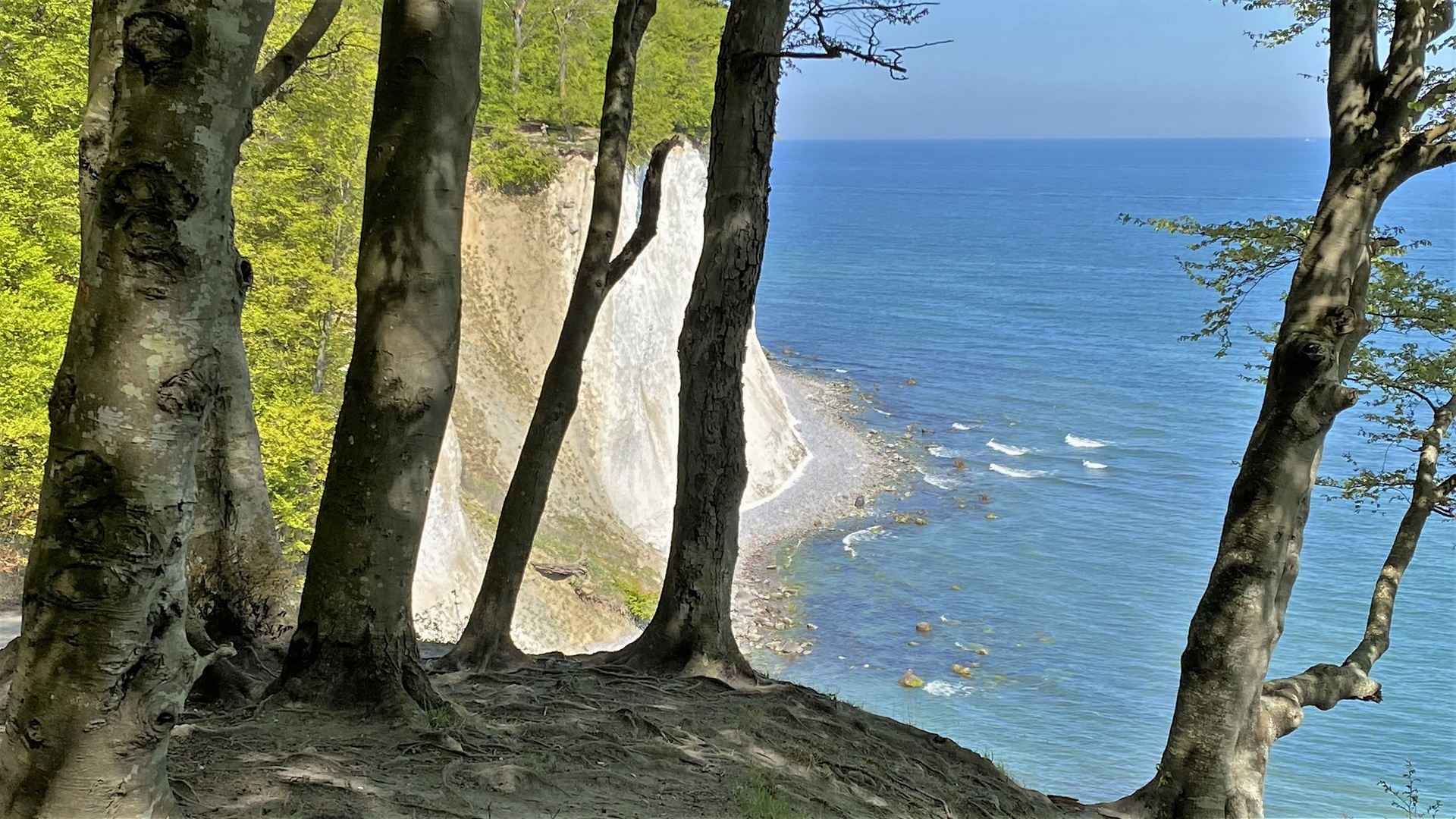 Durchblick auf die Kreidefelsen