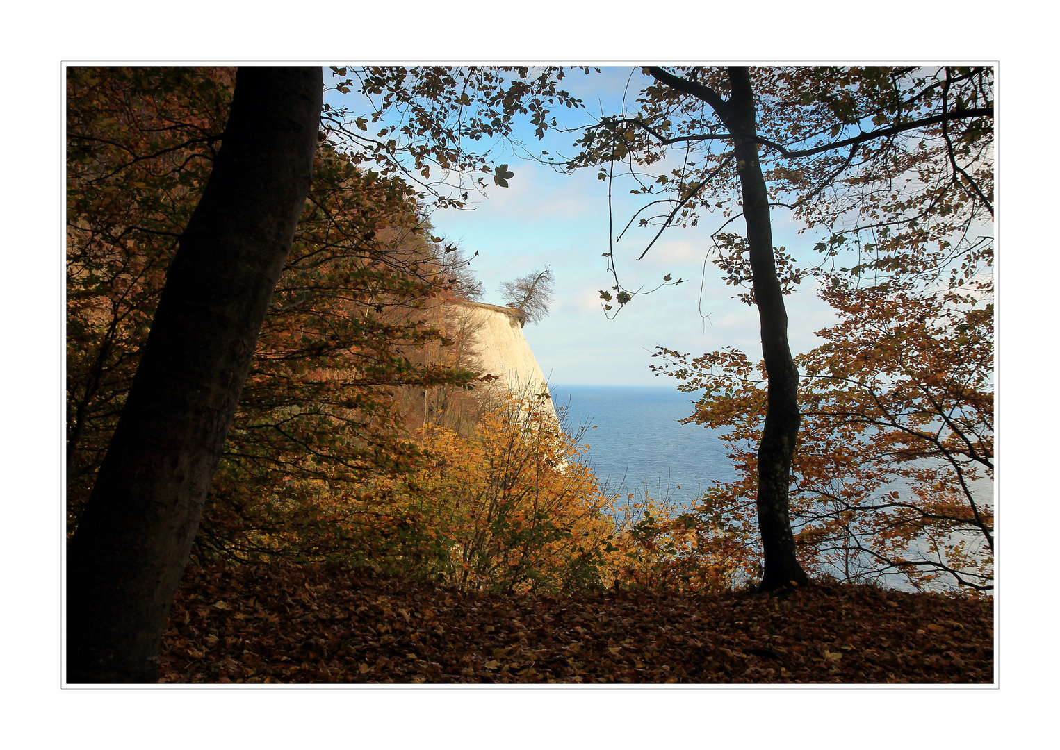 Durchblick auf die Kreideküste