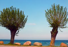 Durchblick auf die Ostsee