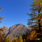 Durchblick auf die Pfunderer