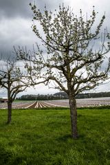 Durchblick auf die Plastiklandwirtschaft