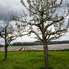 Durchblick auf die Plastiklandwirtschaft