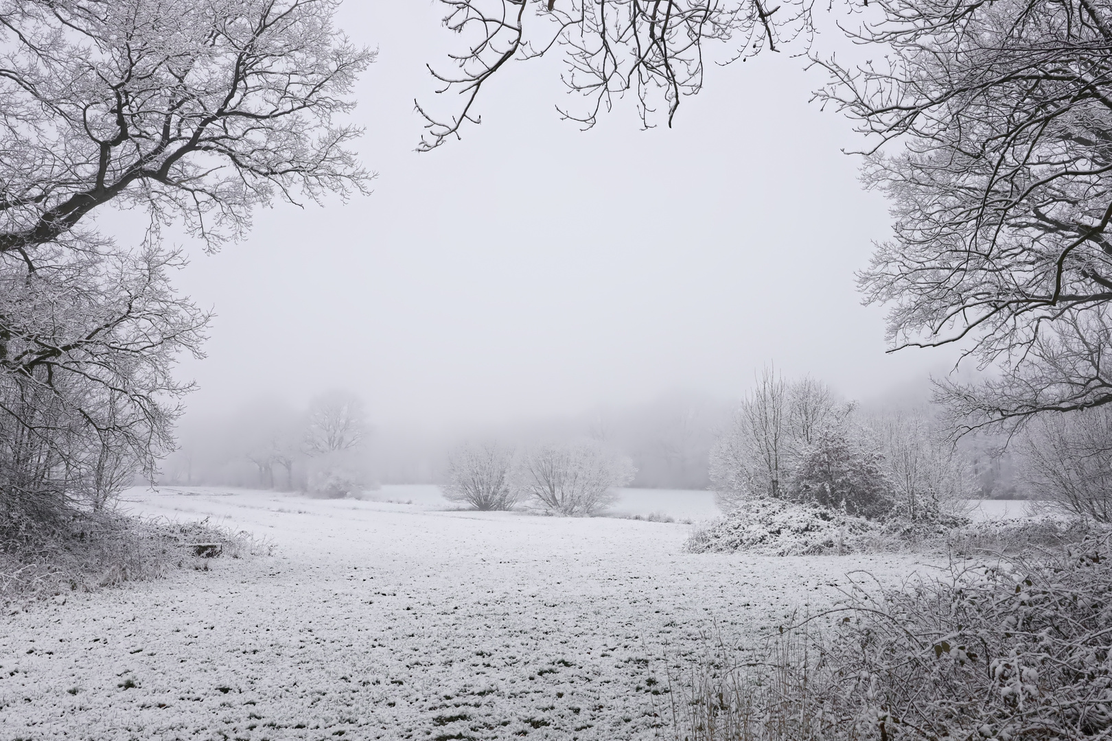 Durchblick auf die Puderzuckerwiese