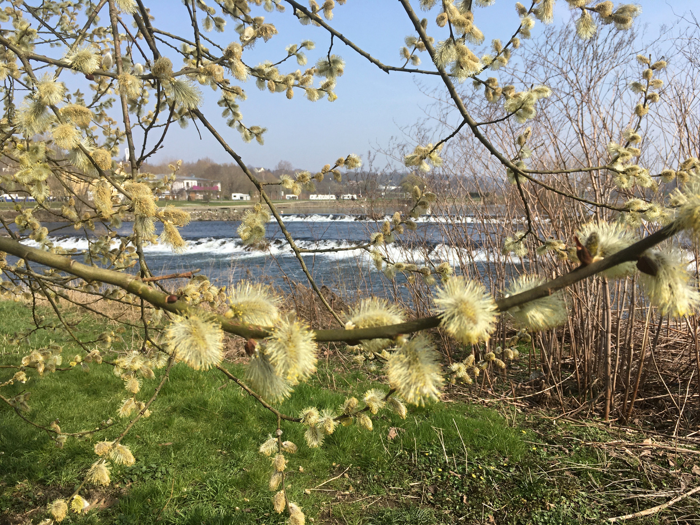 Durchblick auf die Ruhr