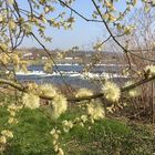 Durchblick auf die Ruhr