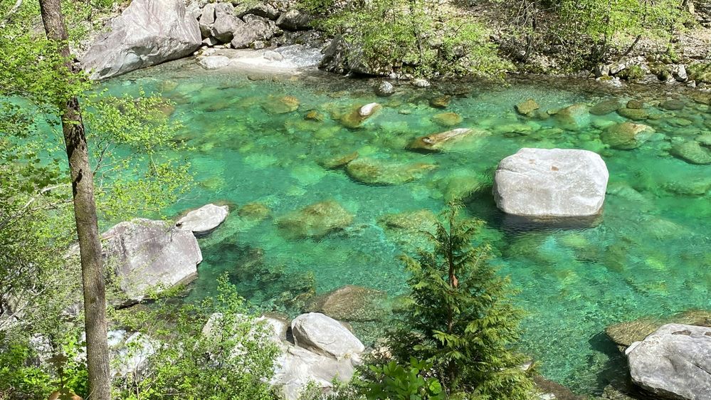 Durchblick auf die smaragd-grüne Verzasca