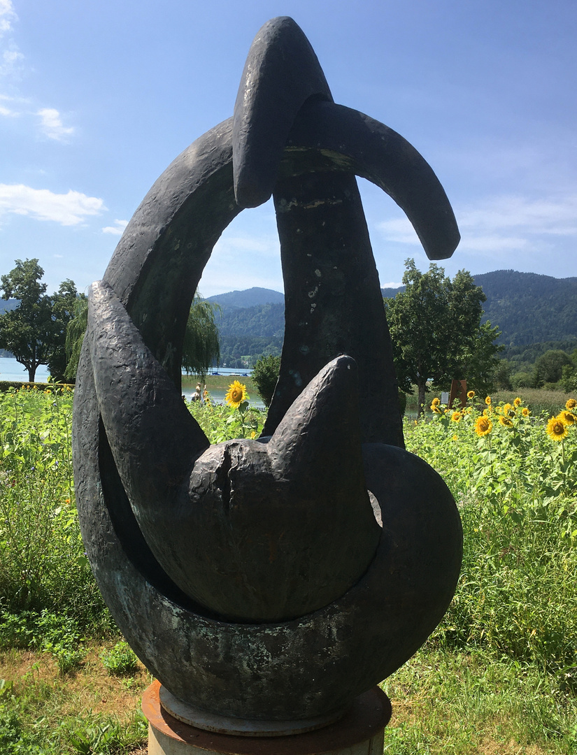 Durchblick auf die Sonnenblume