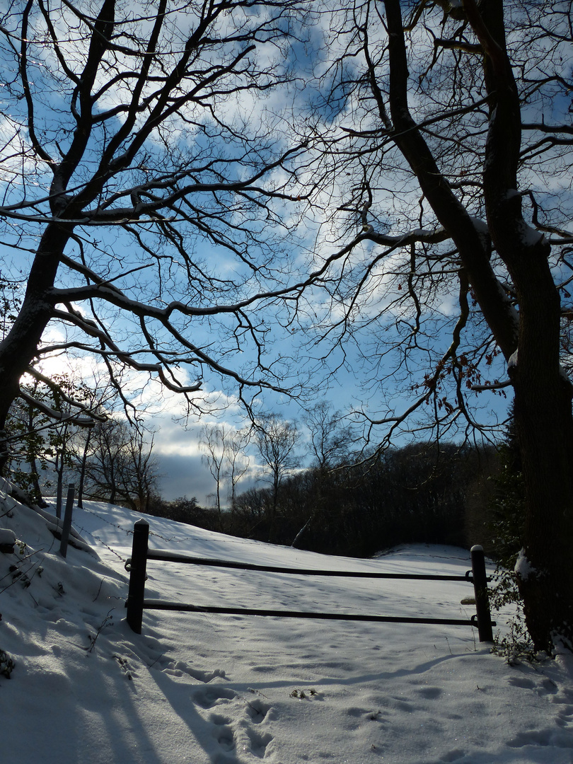 Durchblick auf die verschneite Landschaft