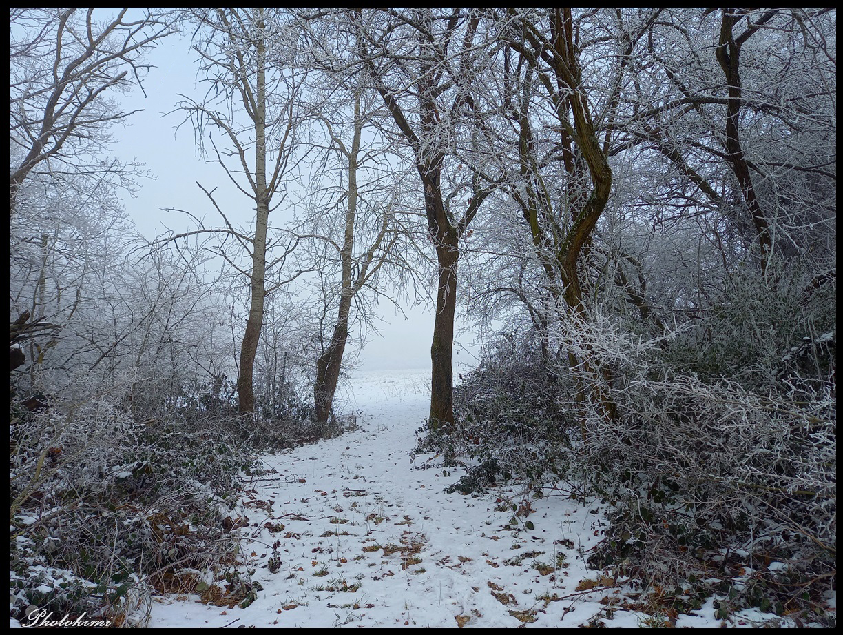 Durchblick auf die verschneiten Felder (I)