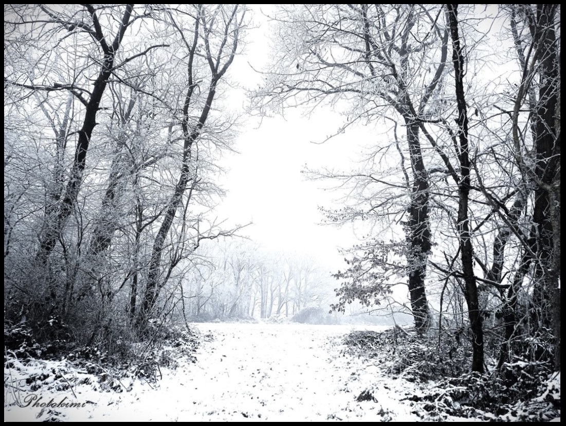 Durchblick auf die verschneiten Felder (II)