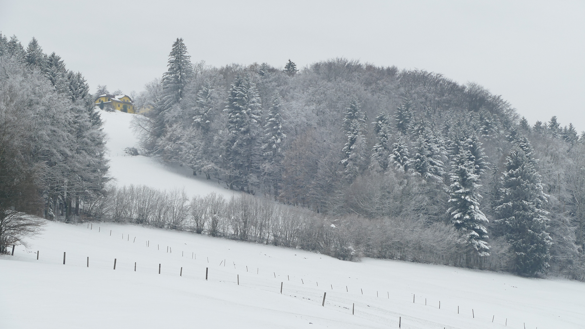 Durchblick auf ein Bauernhaus oder das letzte Winterbild dieses Jahres.