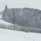 Durchblick auf ein Bauernhaus oder das letzte Winterbild dieses Jahres.