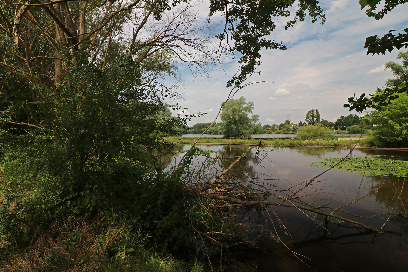 Durchblick auf Fluss und See