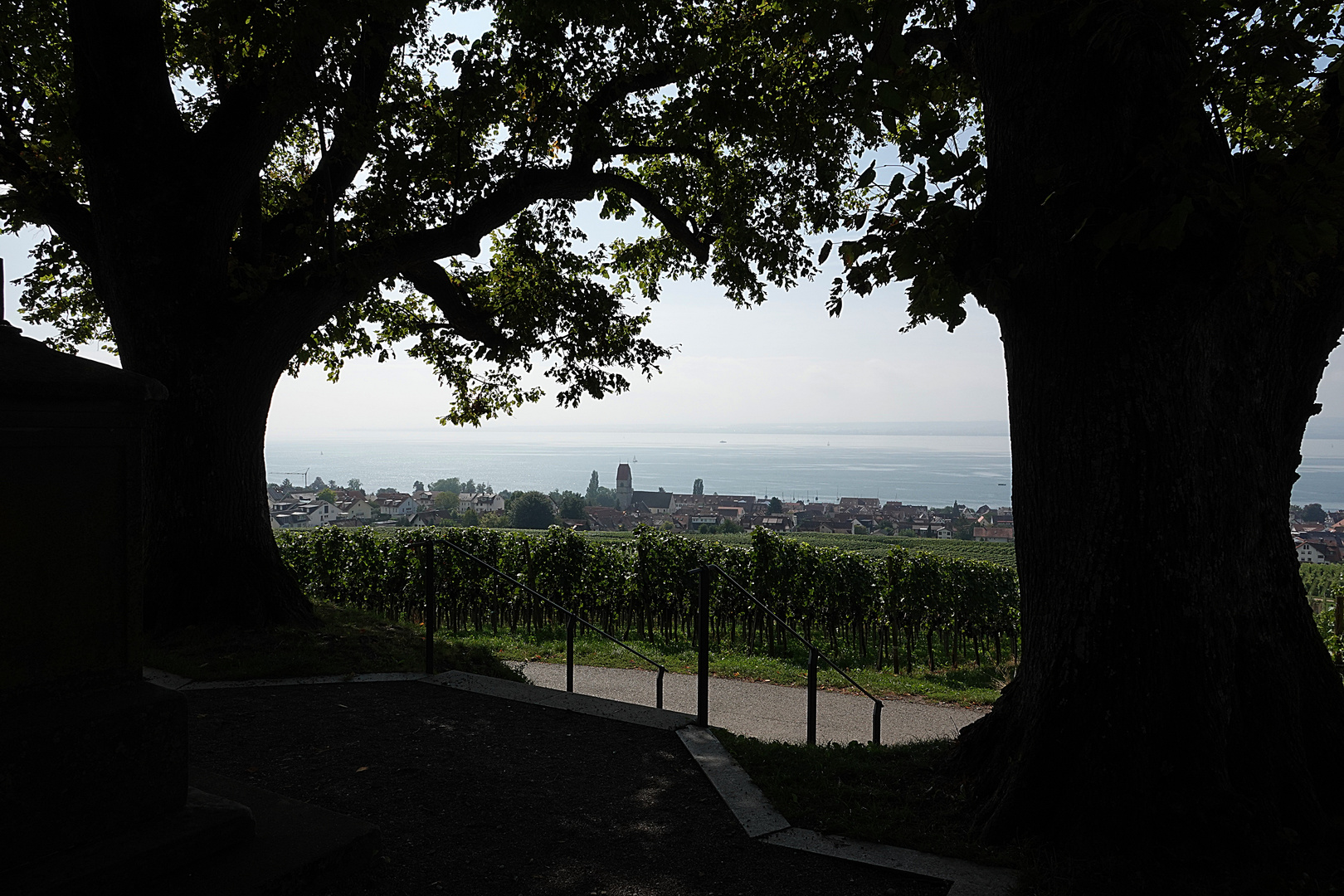 Durchblick auf Hagnau und den Bodensee