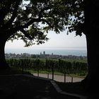 Durchblick auf Hagnau und den Bodensee