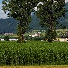 Durchblick auf Kloster