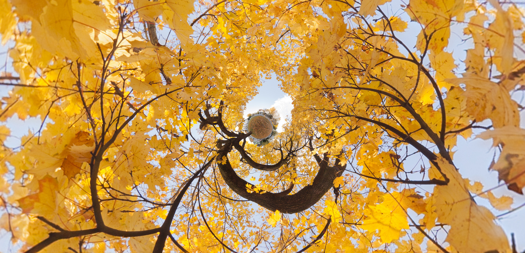 Durchblick Auf Planet Herbst