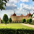 Durchblick auf Schloss Moritzburg