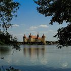 Durchblick auf Schloss Moritzburg