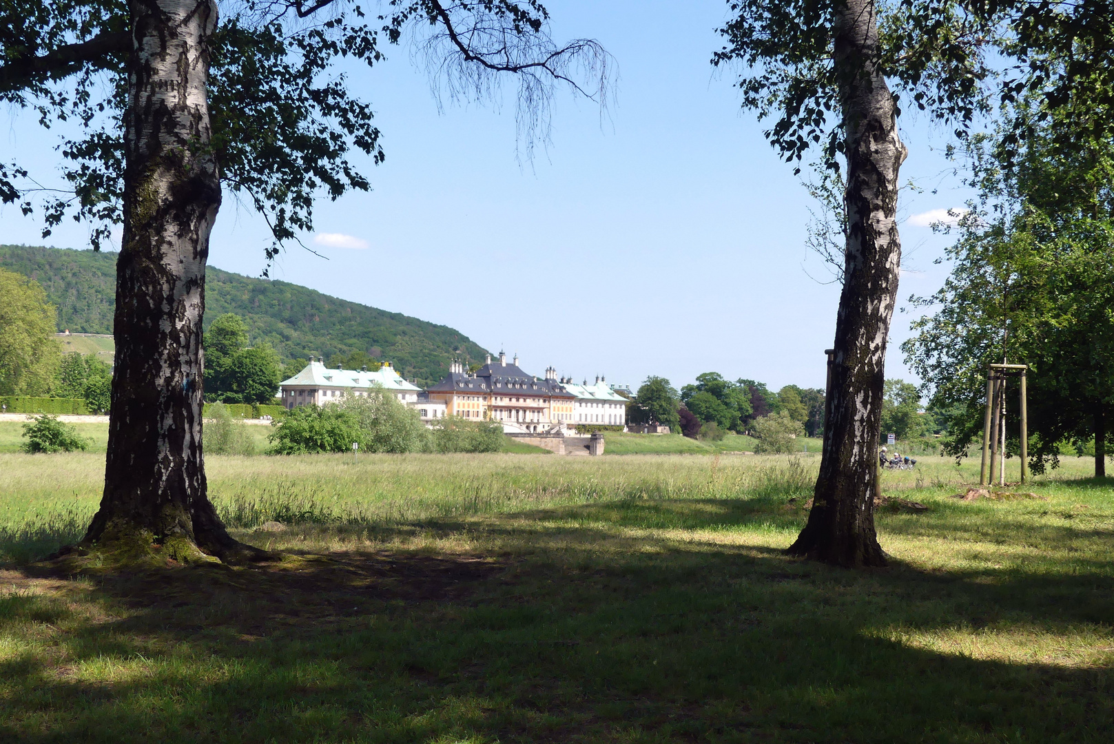 Durchblick auf Schloss Pilnitz