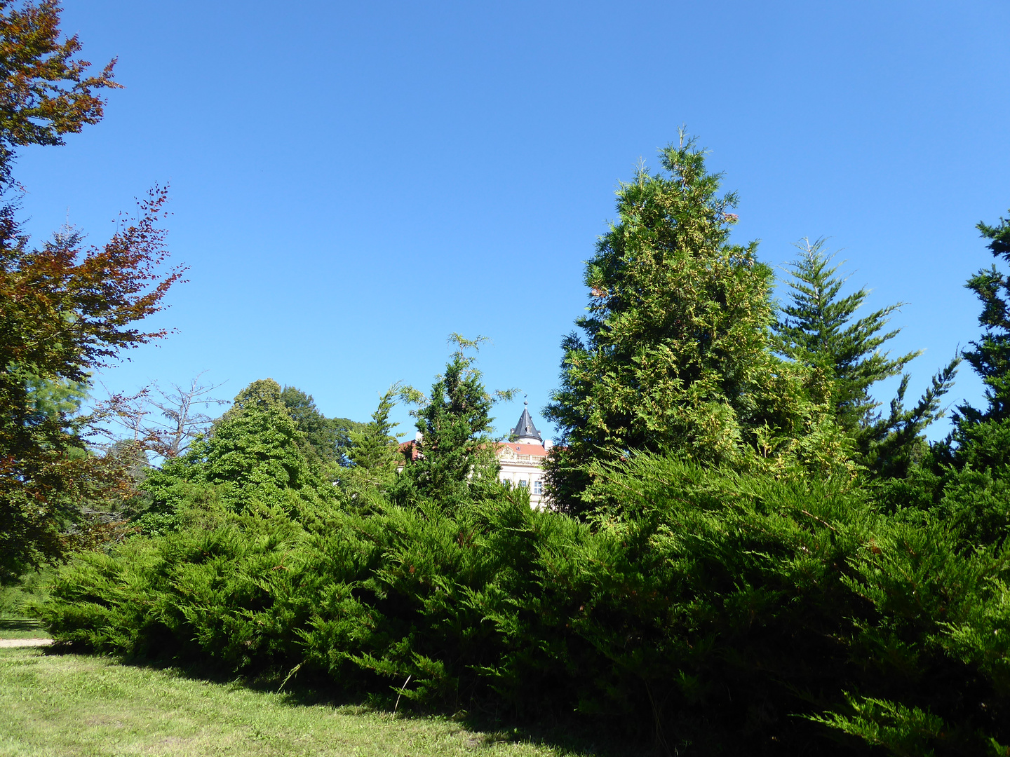 Durchblick auf Schloss Wiesenburg