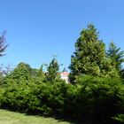 Durchblick auf Schloss Wiesenburg