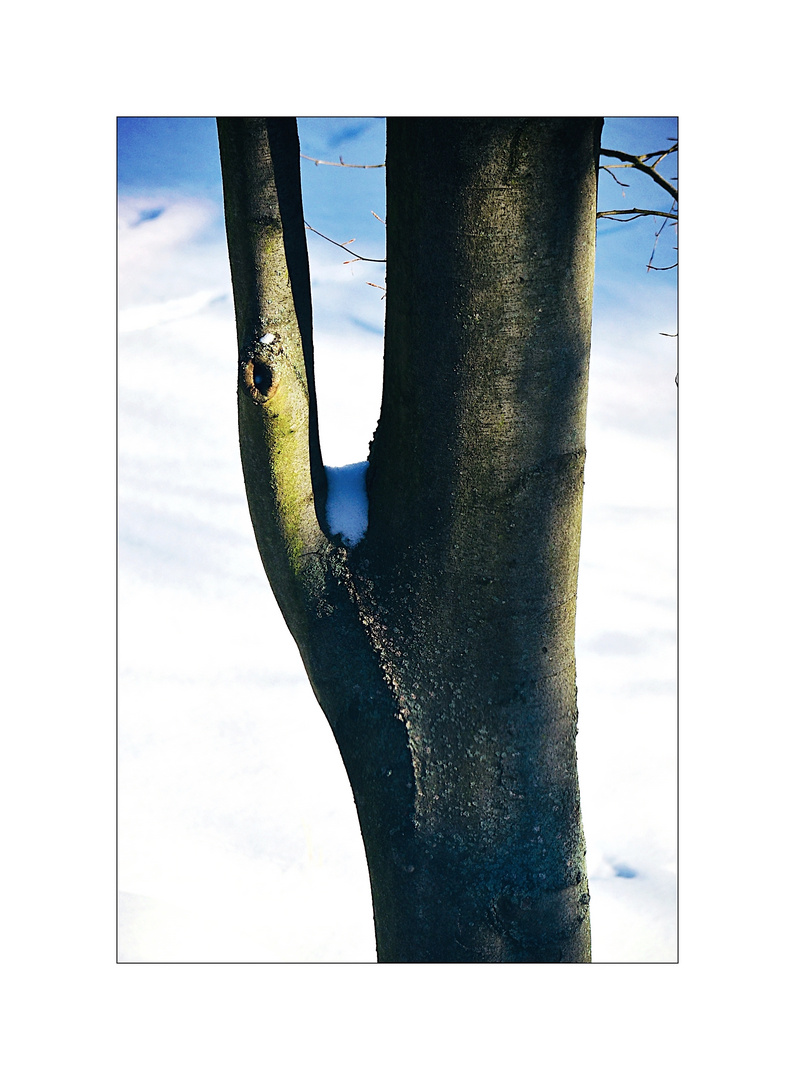 Durchblick auf Schnee