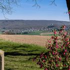 Durchblick auf Schwalenberg,