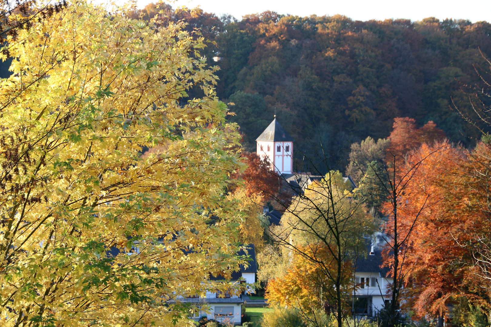 Durchblick auf St. Pankratius in Odenthal