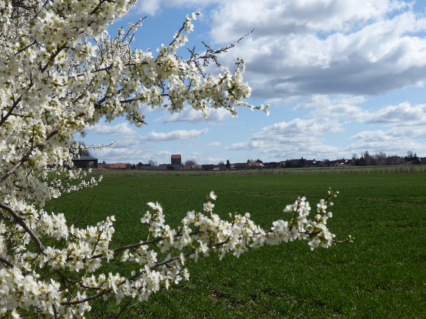 Durchblick auf´s Dorf