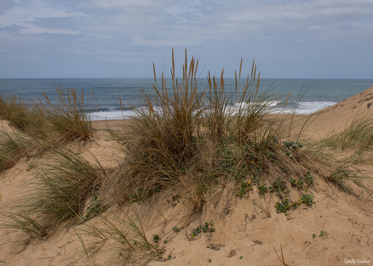 Durchblick aufs Meer