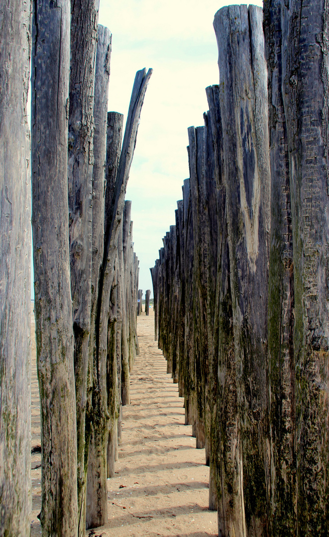 Durchblick aufs Meer