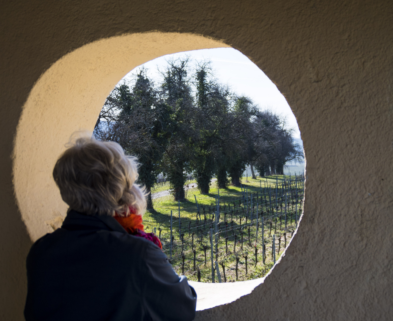 Durchblick - aus dem Winzerhäuschen