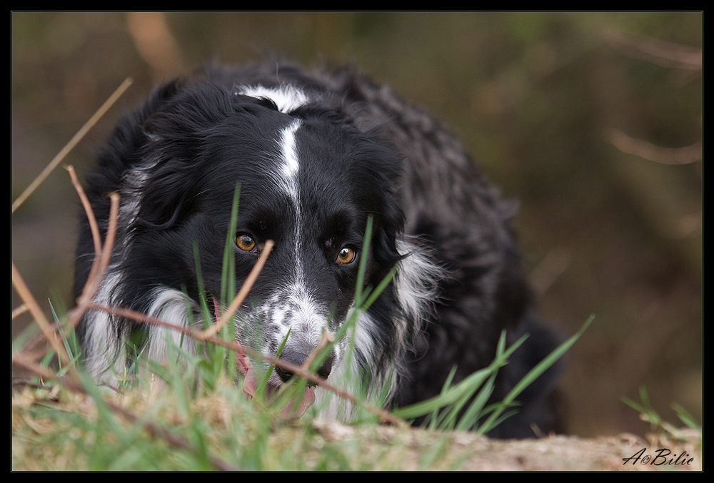 Durchblick