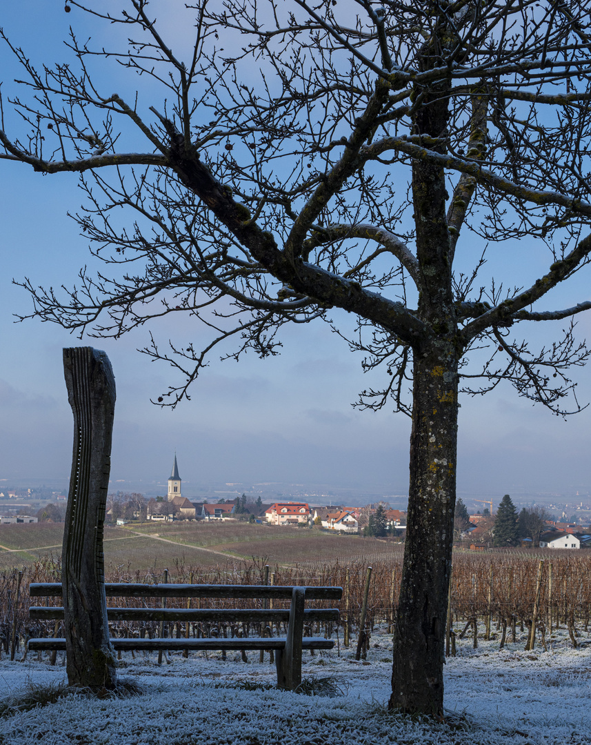 Durchblick - Ballrechten-Dottingen