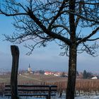 Durchblick - Ballrechten-Dottingen