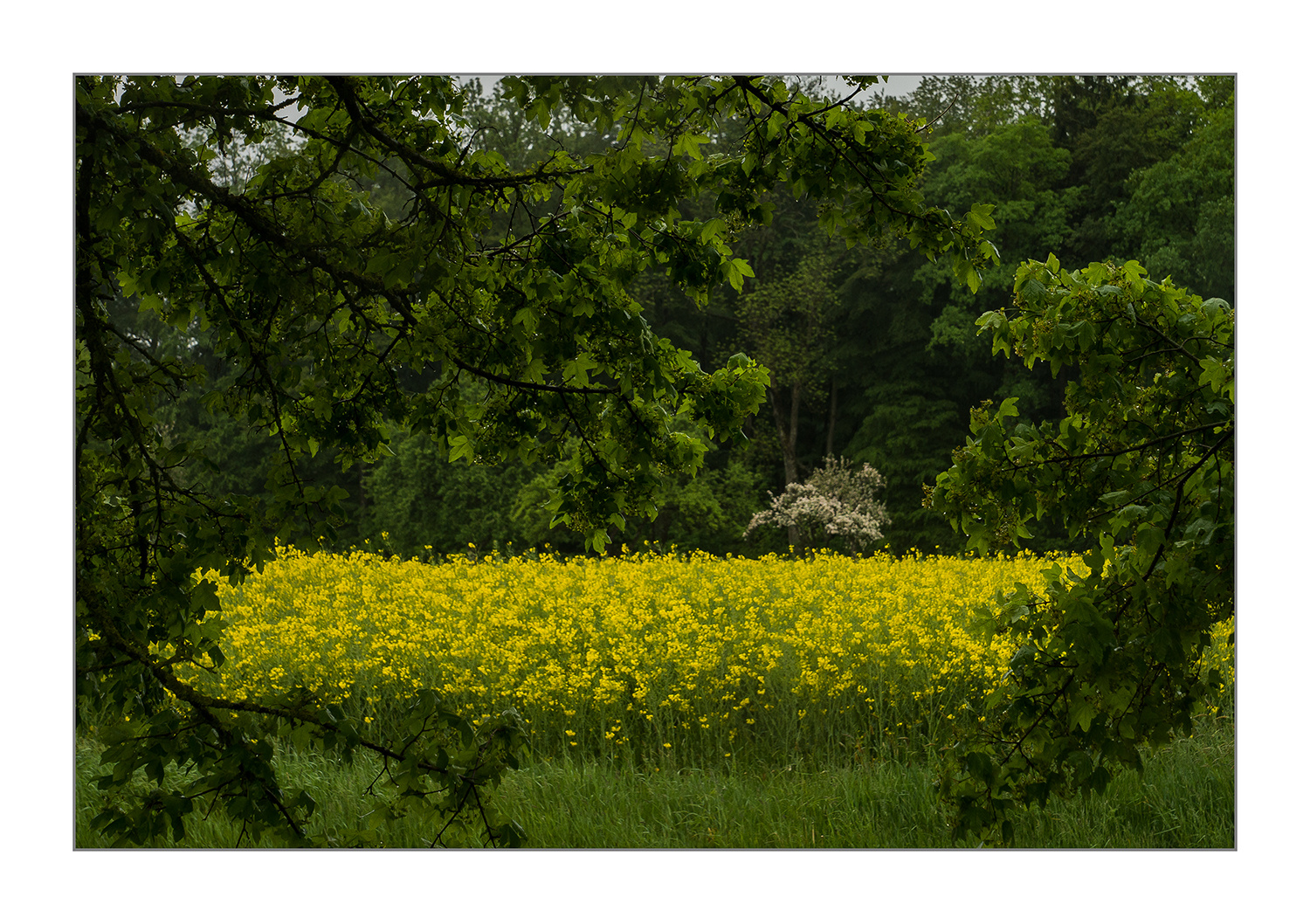 Durchblick behalten