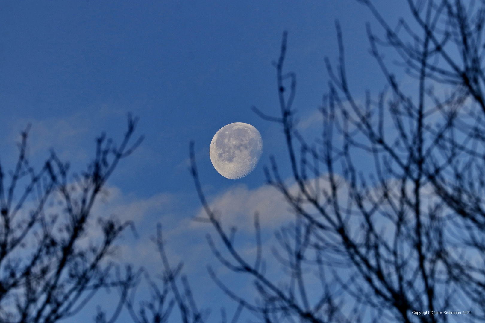 Durchblick bis zum Mond.