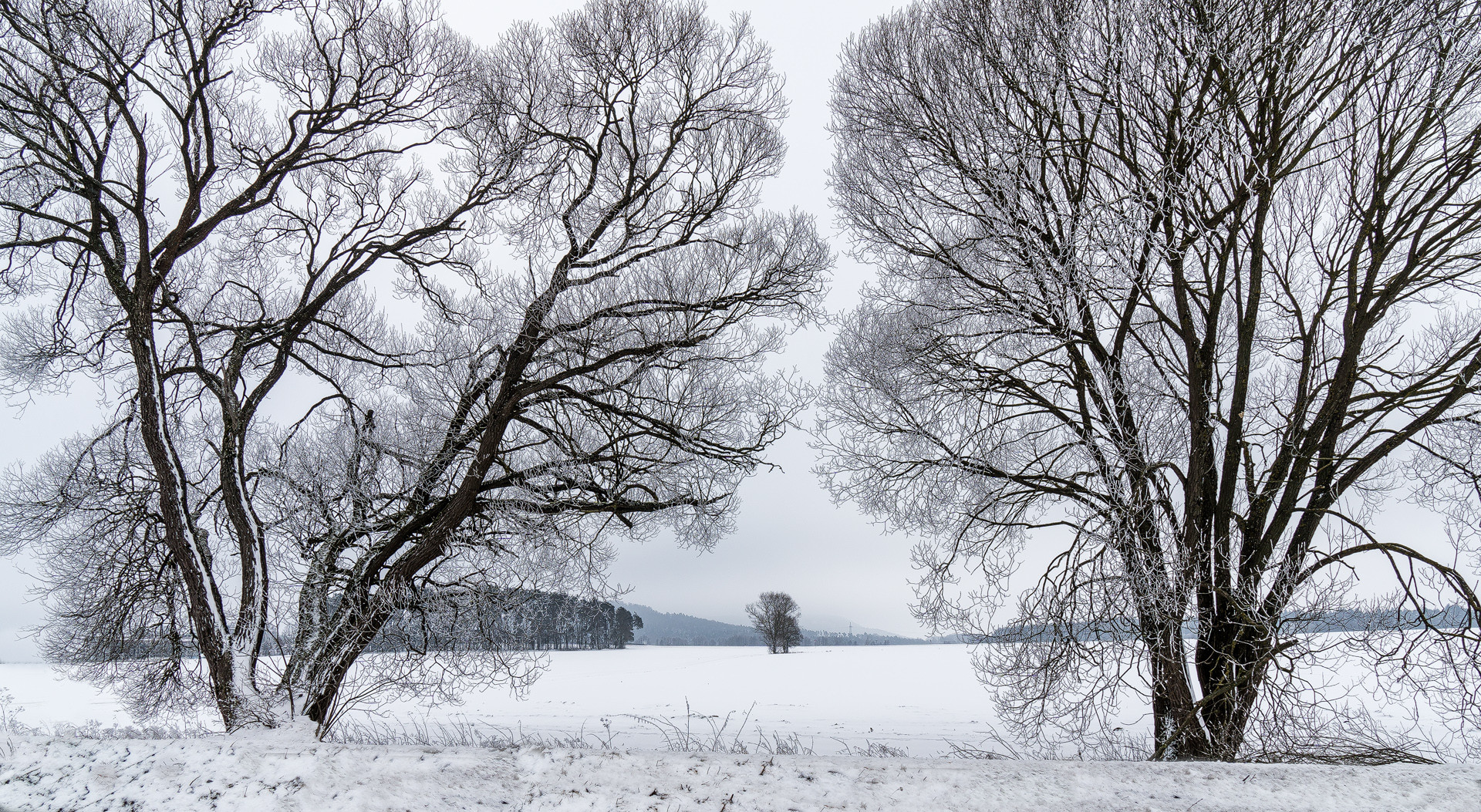 Durchblick