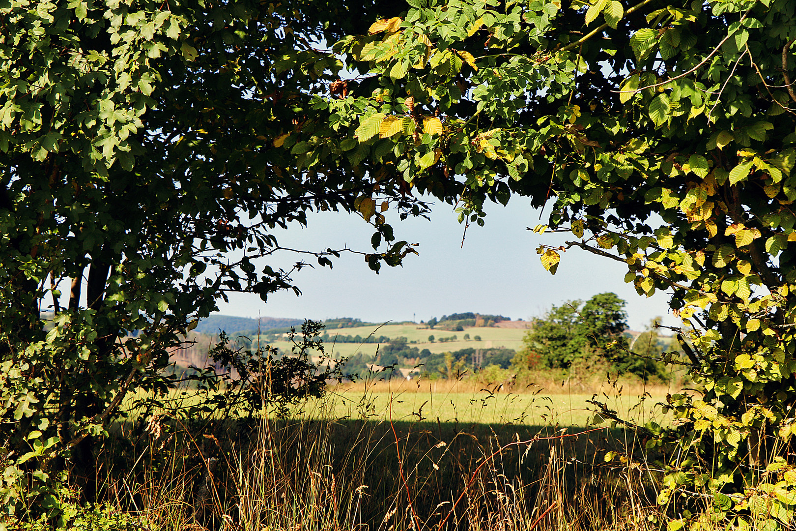 Durchblick