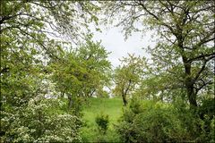 Durchblick