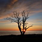 Durchblick der aufgehenden Sonne